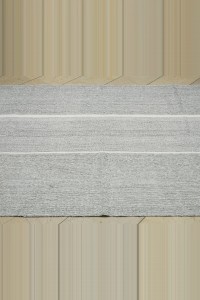 5x9 Minimalist Decor Gray Kilim Rug. 161,282 - Grey Turkish Rug  $i