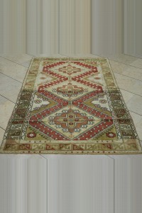 Daisy Pattern Rug 4x6 107,175 - Turkish Carpet Rug  $i