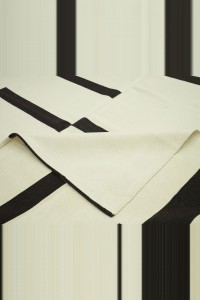 8x10 Modern Stripe Kilim Rug. 242,303 - Turkish Natural Rug  $i